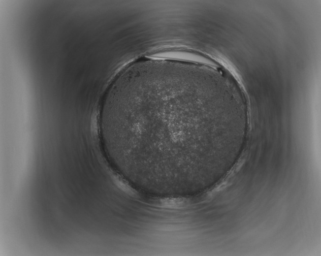 X0000112380105200908271328