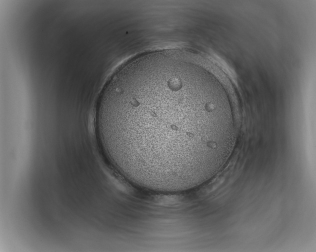 X0000112380107200908271328