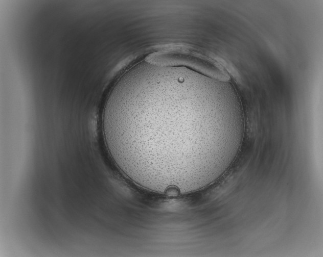 X0000112380111200908271327