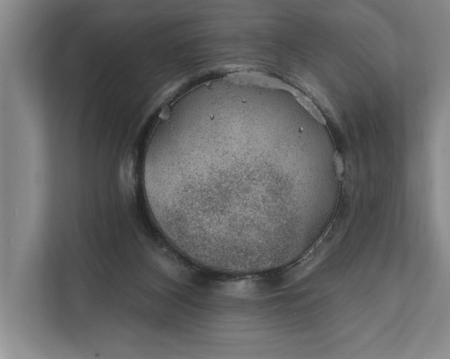 X0000112380116200908271327