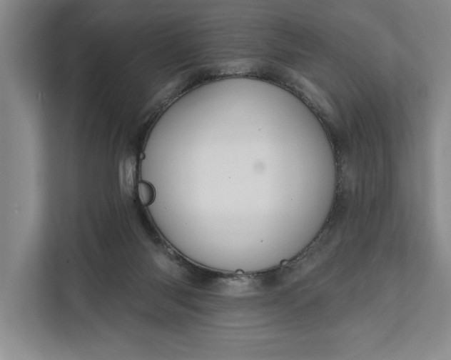 X0000112380118200908271327