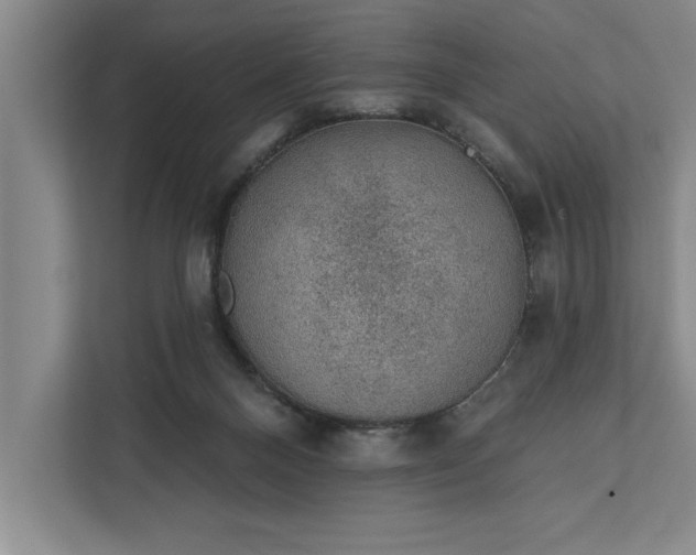 X0000112380120200908271327