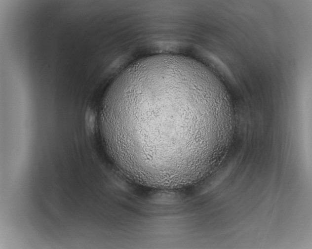 X0000112380123200908271327