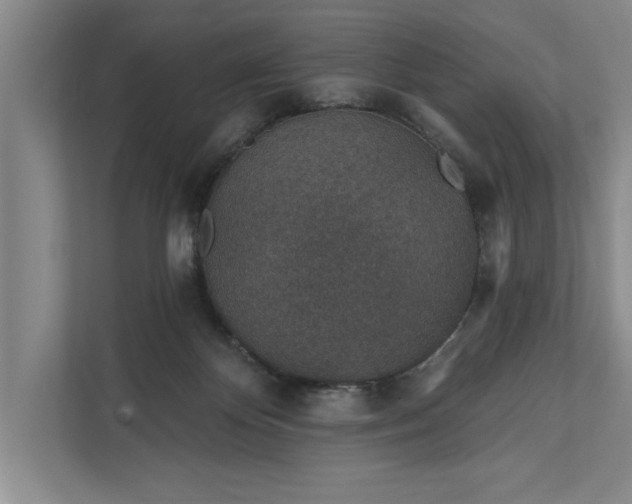 X0000112380124200908271327