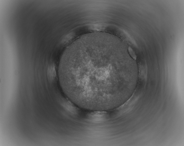 X0000112380128200908271327