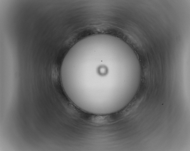 X0000112380129200908271327