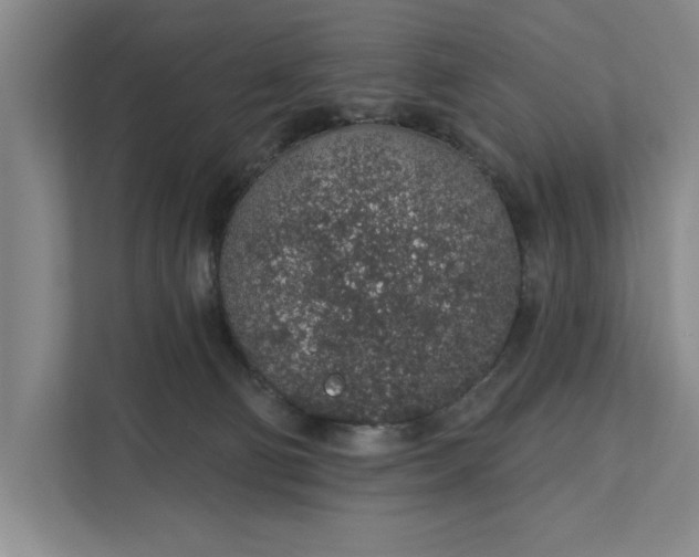 X0000112380130200908271327