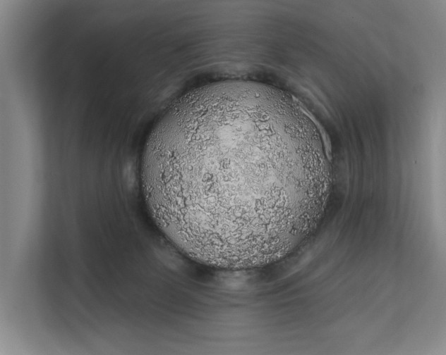 X0000112380131200908271327