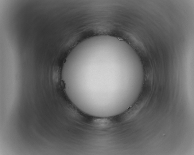 X0000112380133200908271327