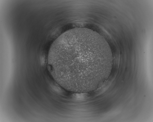 X0000112380134200908271327