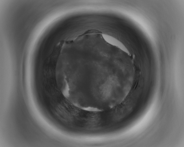 X0000112380143200908271327