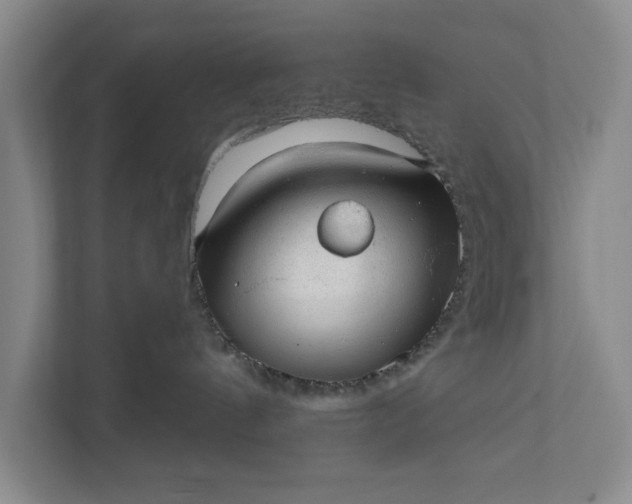 X0000112380144200908271327