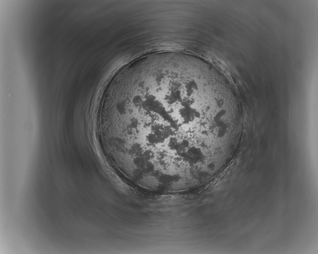 X0000112380145200908271326