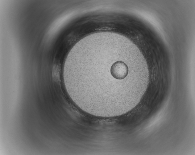 X0000112380146200908271326