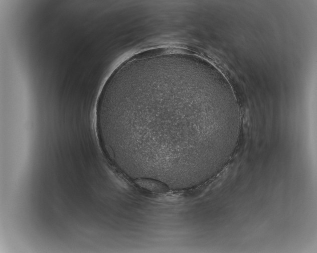 X0000112380148200908271326