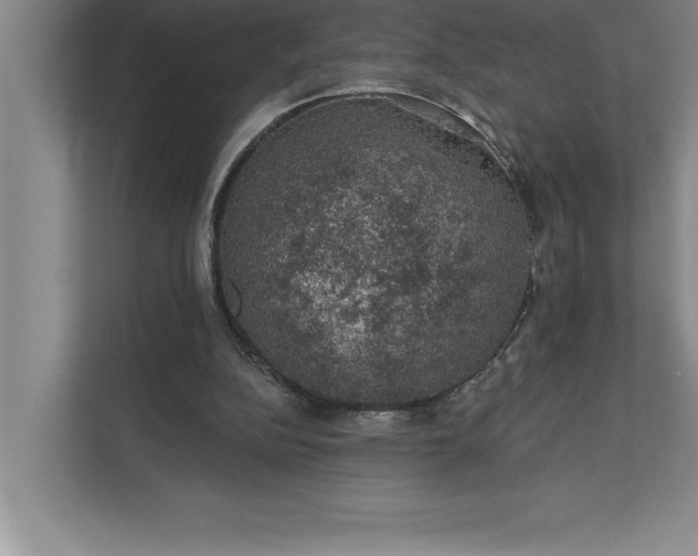 X0000112380152200908271327