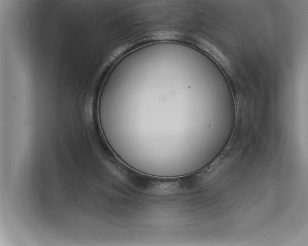 X0000112380155200908271327