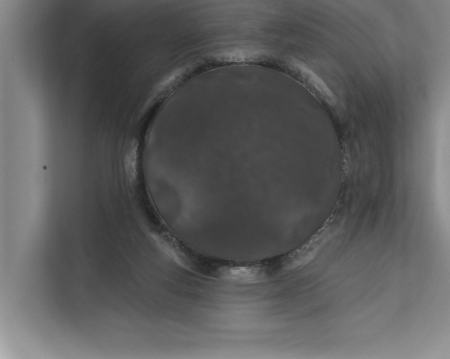 X0000112380163200908271327