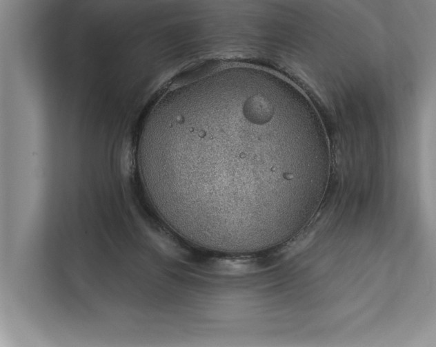 X0000112380164200908271327