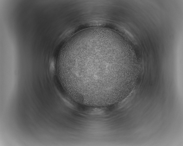 X0000112380166200908271327