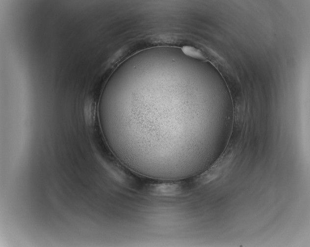 X0000112380168200908271327