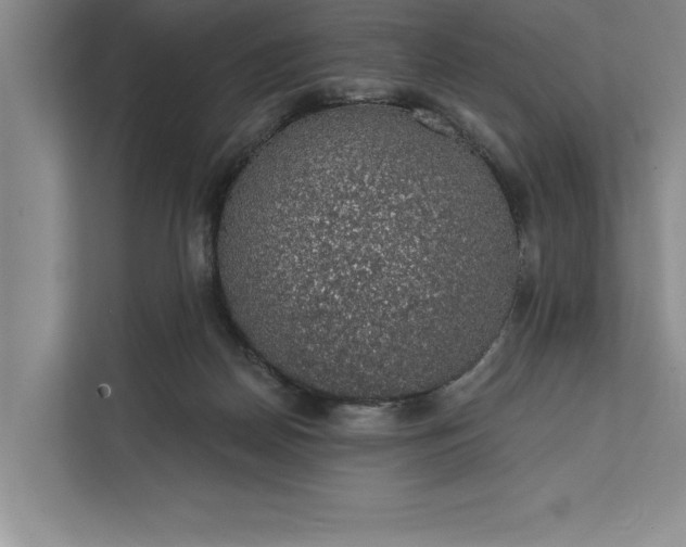 X0000112380170200908271327