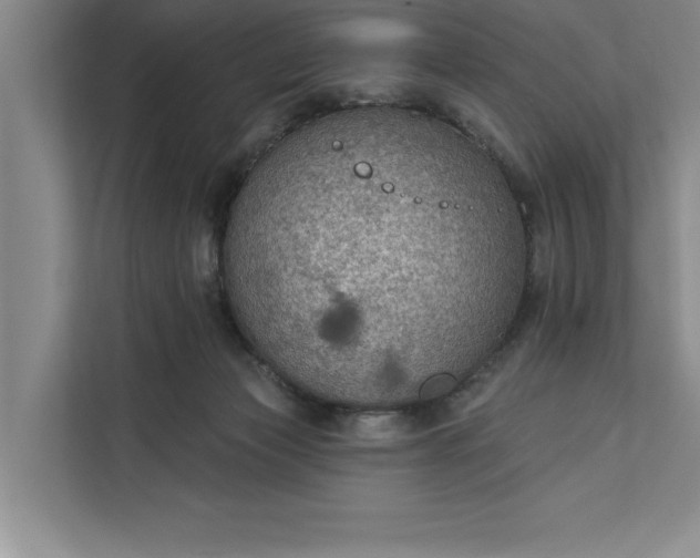 X0000112380173200908271327