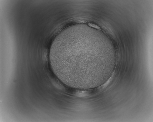 X0000112380174200908271327