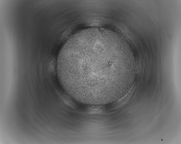 X0000112380175200908271327