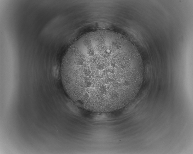 X0000112380177200908271327