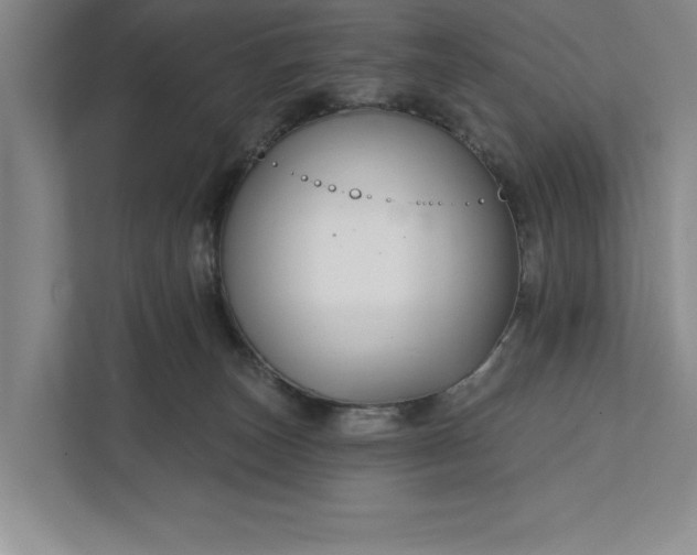 X0000112380179200908271327