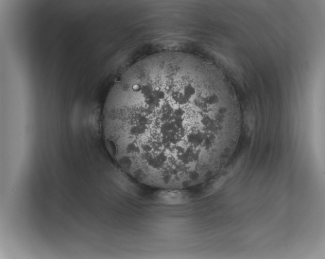 X0000112380181200908271327