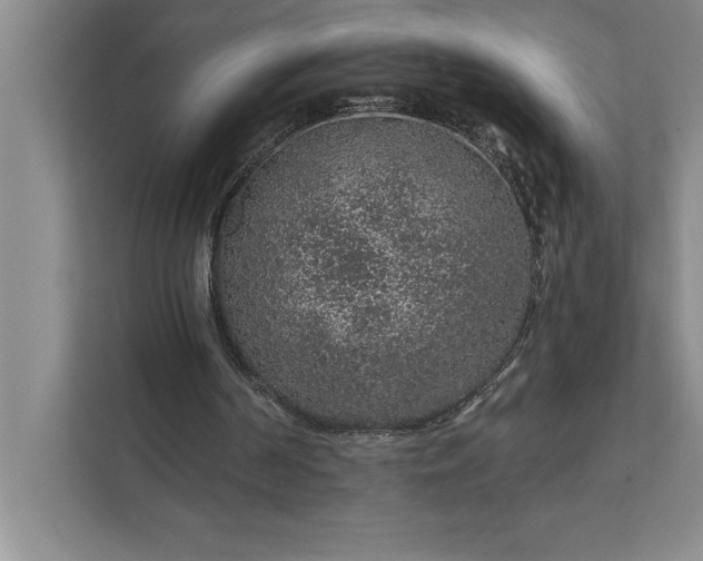 X0000112380194200908271326