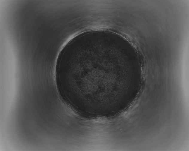 X0000112380196200908271326