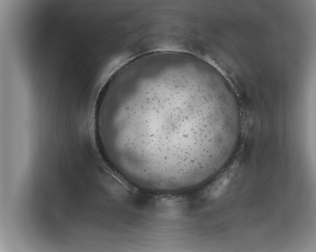 X0000112380199200908271326