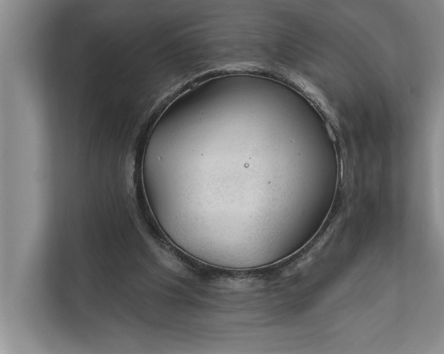 X0000112380201200908271326