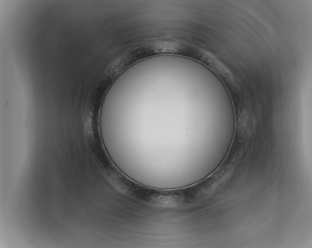 X0000112380209200908271326