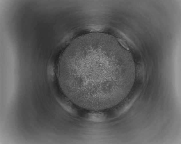 X0000112380215200908271326