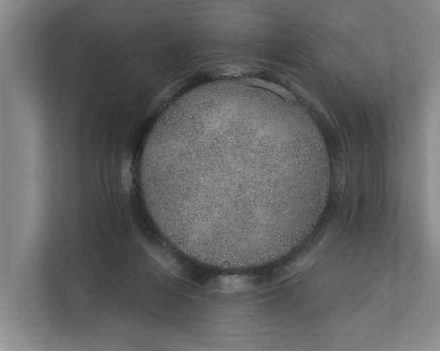 X0000112380216200908271326