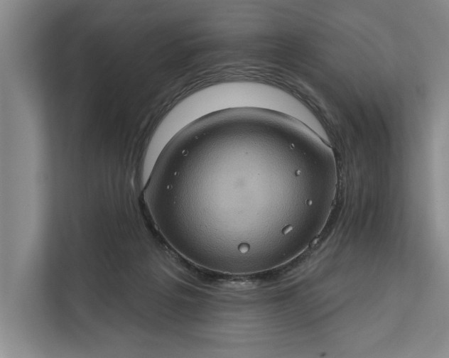 X0000112380217200908271326