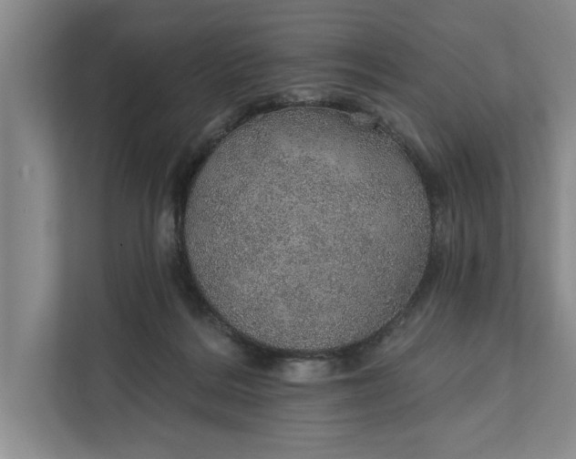 X0000112380220200908271326