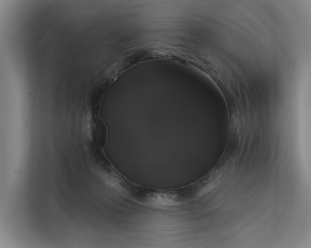 X0000112380223200908271326