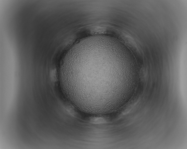 X0000112380224200908271326