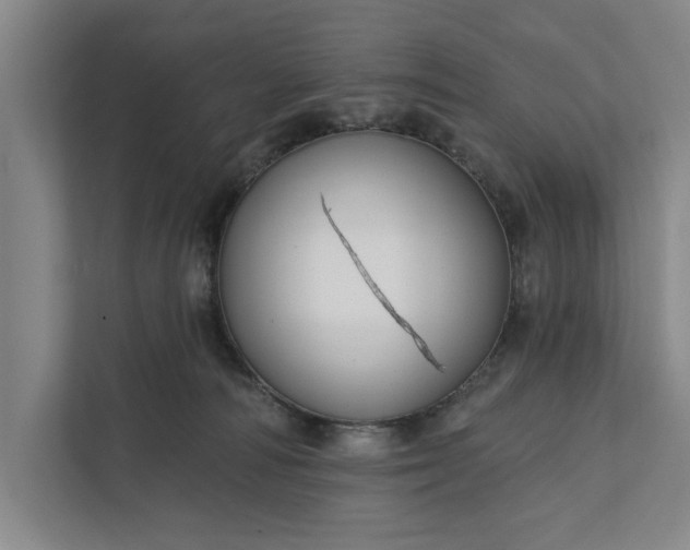 X0000112380226200908271326