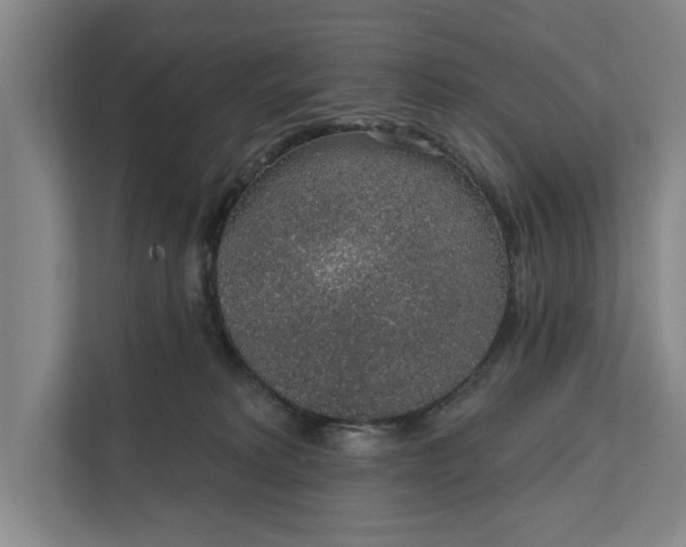 X0000112380229200908271326