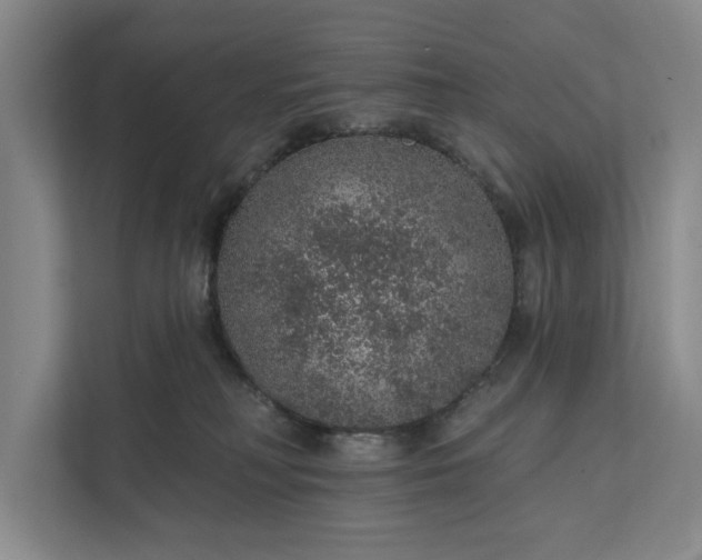 X0000112380230200908271326