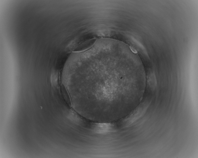 X0000112380233200908271326