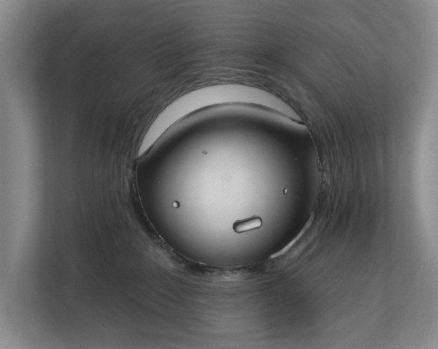 X0000112380235200908271326