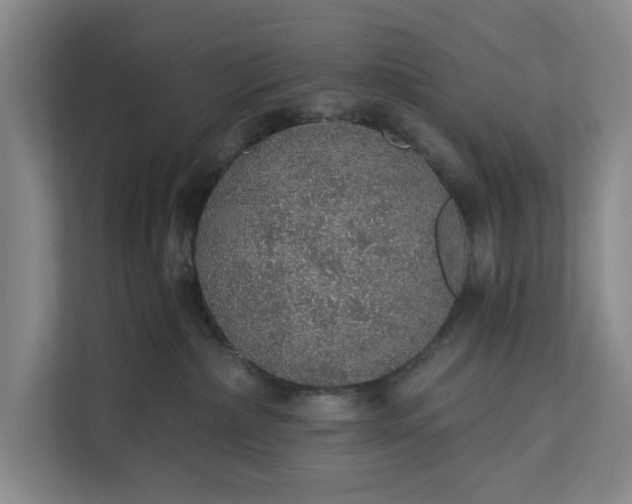 X0000112380236200908271326