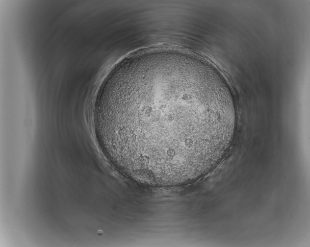 X0000112380241200908271325